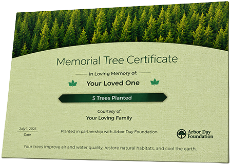 Plant Trees in Memory of Mr. Shannon Carter
